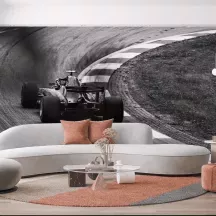 Papier Peint Panoramique Vintage Formula