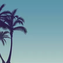 Affiche personnalisée Palmier Ombre