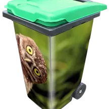 Sticker poubelle personnalisée Chouette rigolote