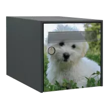 Sticker boîte aux lettres personnalisé Coton de Tuléar