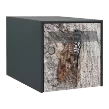 Sticker boîte aux lettres personnalisé Cigale