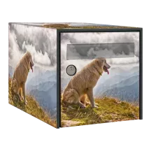 Sticker boîte aux lettres personnalisé Patou 3