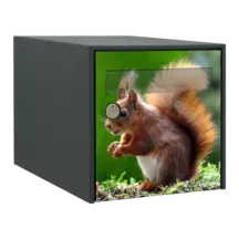 Sticker boîte aux lettres personnalisé Ecureuil 2