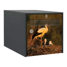 Sticker boîte aux lettres personnalisé Cigogne 3