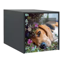 Sticker boîte aux lettres personnalisé Beagle