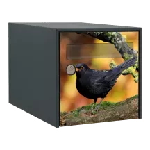 Sticker boîte aux lettres personnalisé Merle