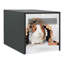 Sticker boîte aux lettres personnalisé Cochon d'Inde