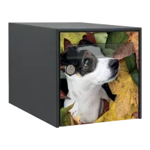 Sticker boîte aux lettres personnalisé Jack Russell