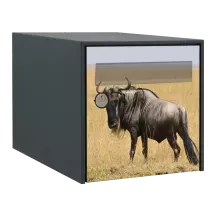 Sticker boîte aux lettres personnalisé Gnou