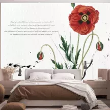 Papier Peint Panoramique Fleurs Coquelicots