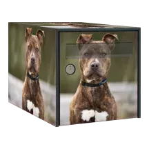 Sticker boîte aux lettres personnalisé Pitbull