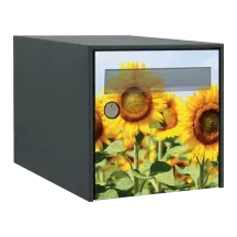 Sticker boîte aux lettres personnalisé Tournesol