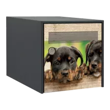 Sticker boîte aux lettres personnalisé Rottweiler