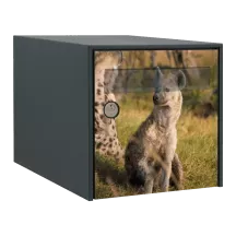 Sticker boîte aux lettres personnalisé Hyène