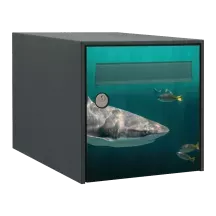 Sticker boîte aux lettres personnalisé Requin 3