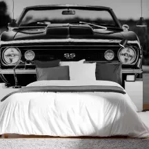 Papier Peint Panoramique Chevelle SS