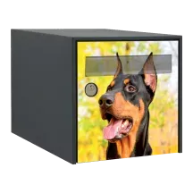 Sticker boîte aux lettres personnalisé Dobermann