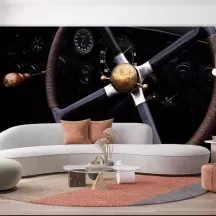 Papier Peint Panoramique Vintage Volant