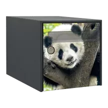 Sticker boîte aux lettres personnalisé Panda