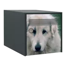 Sticker boîte aux lettres personnalisé Patou