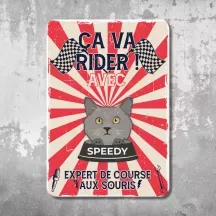 Plaque de porte personnalisée Chat Rider - déco humour