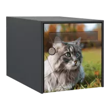 Sticker boîte aux lettres personnalisé Sibérien 2