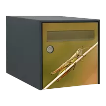 Sticker boîte aux lettres personnalisé Criquet