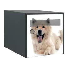 Sticker boîte aux lettres personnalisé Eurasier