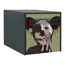 Sticker boîte aux lettres personnalisé Chien Chinois à Crête 2