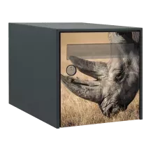 Sticker boîte aux lettres personnalisé Rhinocéros