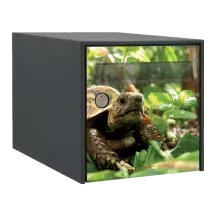 Sticker boîte aux lettres personnalisé Tortue