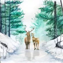 Affiche personnalisée Animaux Forêt 2