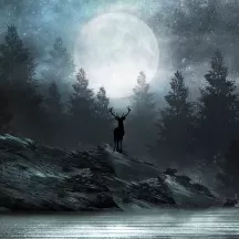 Affiche personnalisée Cerf Fôret