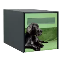 Sticker boîte aux lettres personnalisé Dogue Allemand