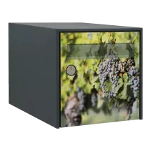 Sticker boîte aux lettres personnalisé Vignes