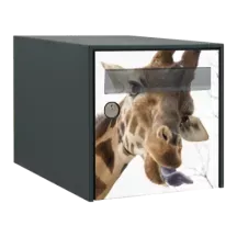 Sticker boîte aux lettres personnalisé Girafe rigolote