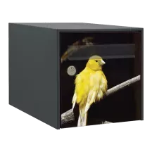 Sticker boîte aux lettres personnalisé Canari 3