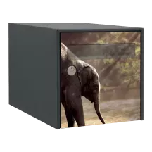 Sticker boîte aux lettres personnalisé Elephant 3