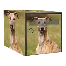 Sticker boîte aux lettres personnalisé Whippet