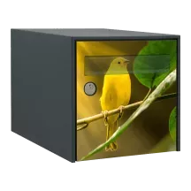 Sticker boîte aux lettres personnalisé Canari