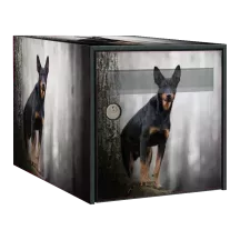 Sticker boîte aux lettres personnalisé Beauceron