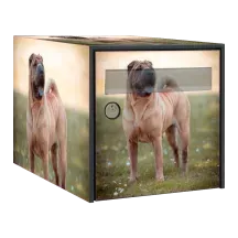 Sticker boîte aux lettres personnalisé Shar-pei