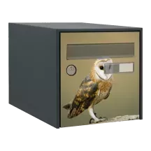 Sticker boîte aux lettres personnalisé Chouette