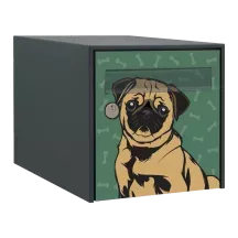 Sticker boîte aux lettres personnalisé Carlin 2