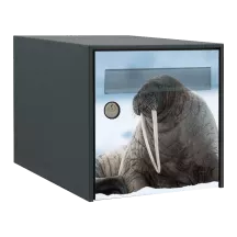 Sticker boîte aux lettres personnalisé Morse