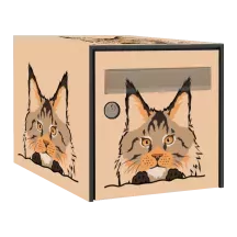 Sticker boîte aux lettres personnalisé Maine Coon
