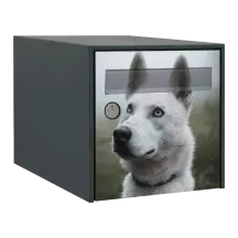 Sticker boîte aux lettres personnalisé Berger Blanc Suisse