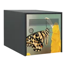 Sticker boîte aux lettres personnalisé Papillon