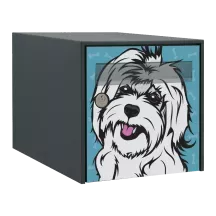 Sticker boîte aux lettres personnalisé Coton de Tuléar 2