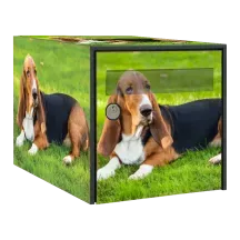 Sticker boîte aux lettres personnalisé Basset Hound